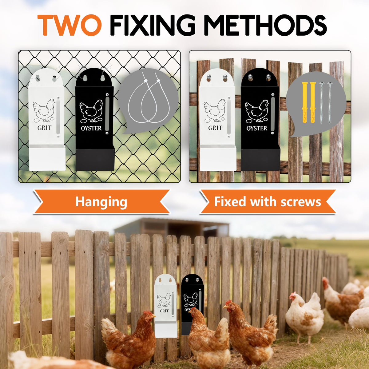 ETSSXYSO versatile feeder holds oyster shell, grit, and pellets for healthier digestion.
