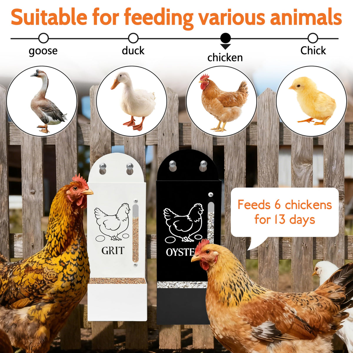 ETSSXYSO weather-resistant feeder withstands sun and rain for reliable coop feeding.