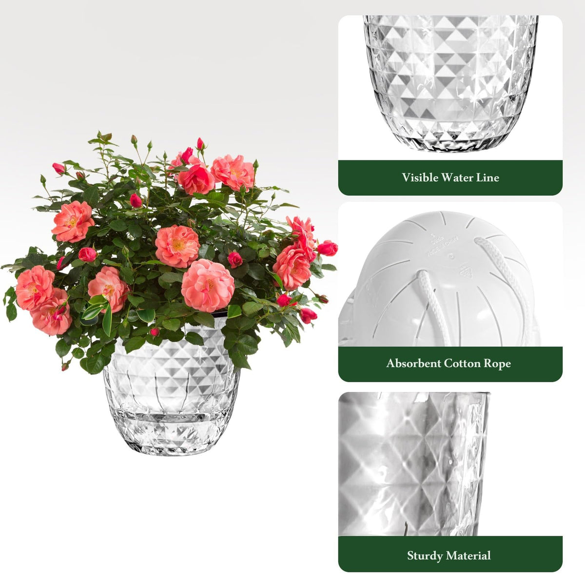 Etvski pot uses cotton rope wick to deliver steady moisture.