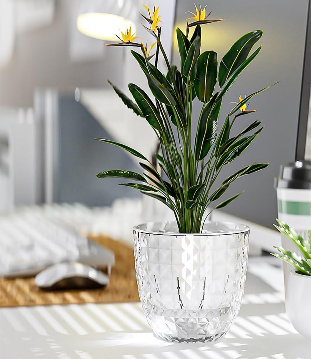 Etvski pot supports orchids and African violets with steady moisture.