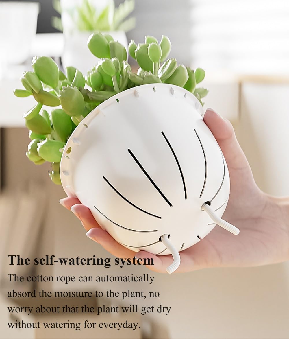 Etvski pot is easy to move for rearranging plant layouts.