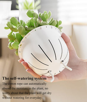 Etvski pot is easy to move for rearranging plant layouts.