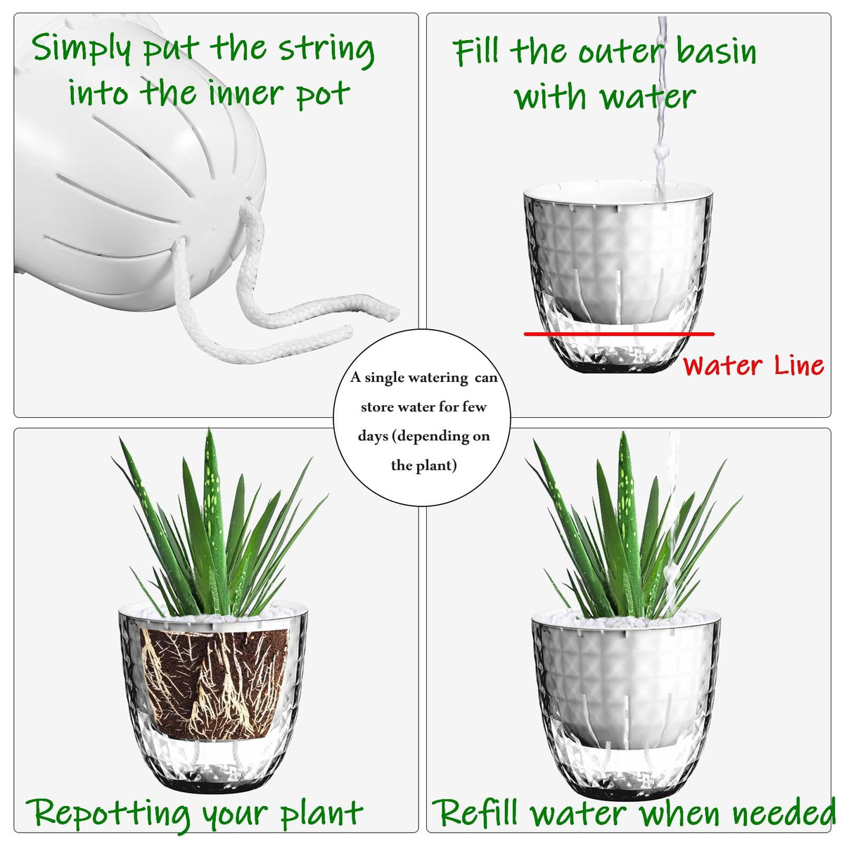 Etvski pot's transparent PET shows water level clearly.