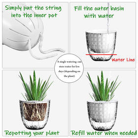 Etvski pot's transparent PET shows water level clearly.