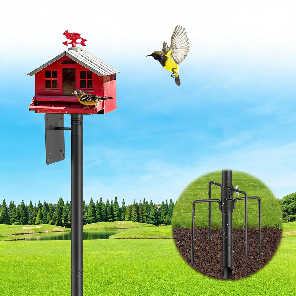 EUIJOIP heavy-duty pole at full height for stable backyard birdwatching.