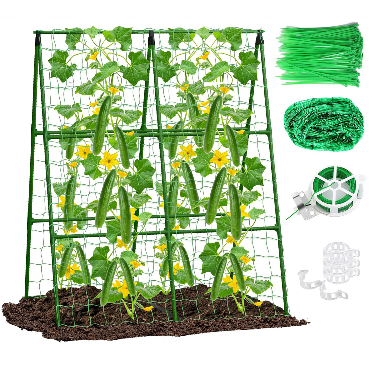 Eunice 2-Pack A-Frame Cucumber Trellis in a raised bed for space-saving vertical growing