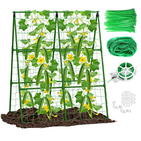 Eunice 2-Pack A-Frame Cucumber Trellis in a raised bed for space-saving vertical growing