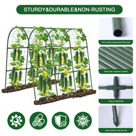 Eunice durable metal trellis coating resists rust for outdoor use years