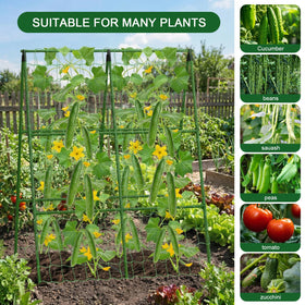 Foldable trellis design from Eunice stores flat after the season