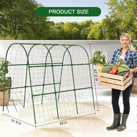 Eunice garden clips secure stems with easy-to-use plant support