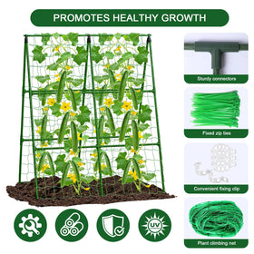 Ground stakes secure Eunice trellises firmly to the soil