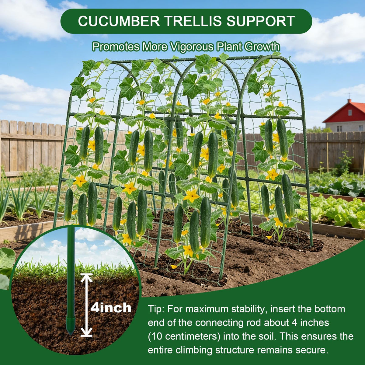 Eunice leaf ties help gentle binding without damage to delicate leaves