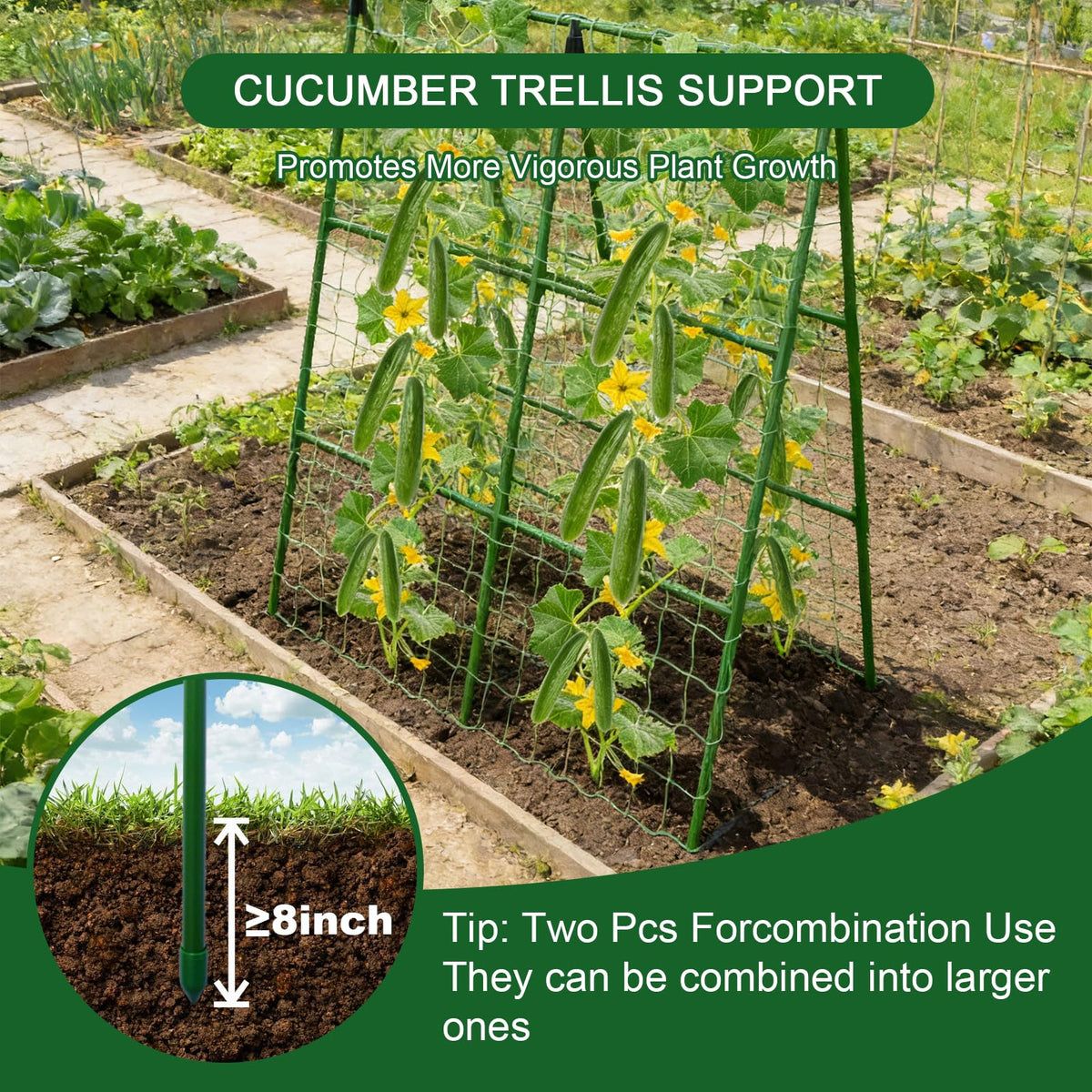 Leaf ties from Eunice simplify tying plants to supports safely