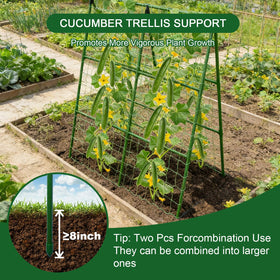 Leaf ties from Eunice simplify tying plants to supports safely