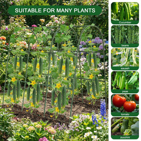 Eunice raised-bed garden solution fits compact spaces and supports climbers