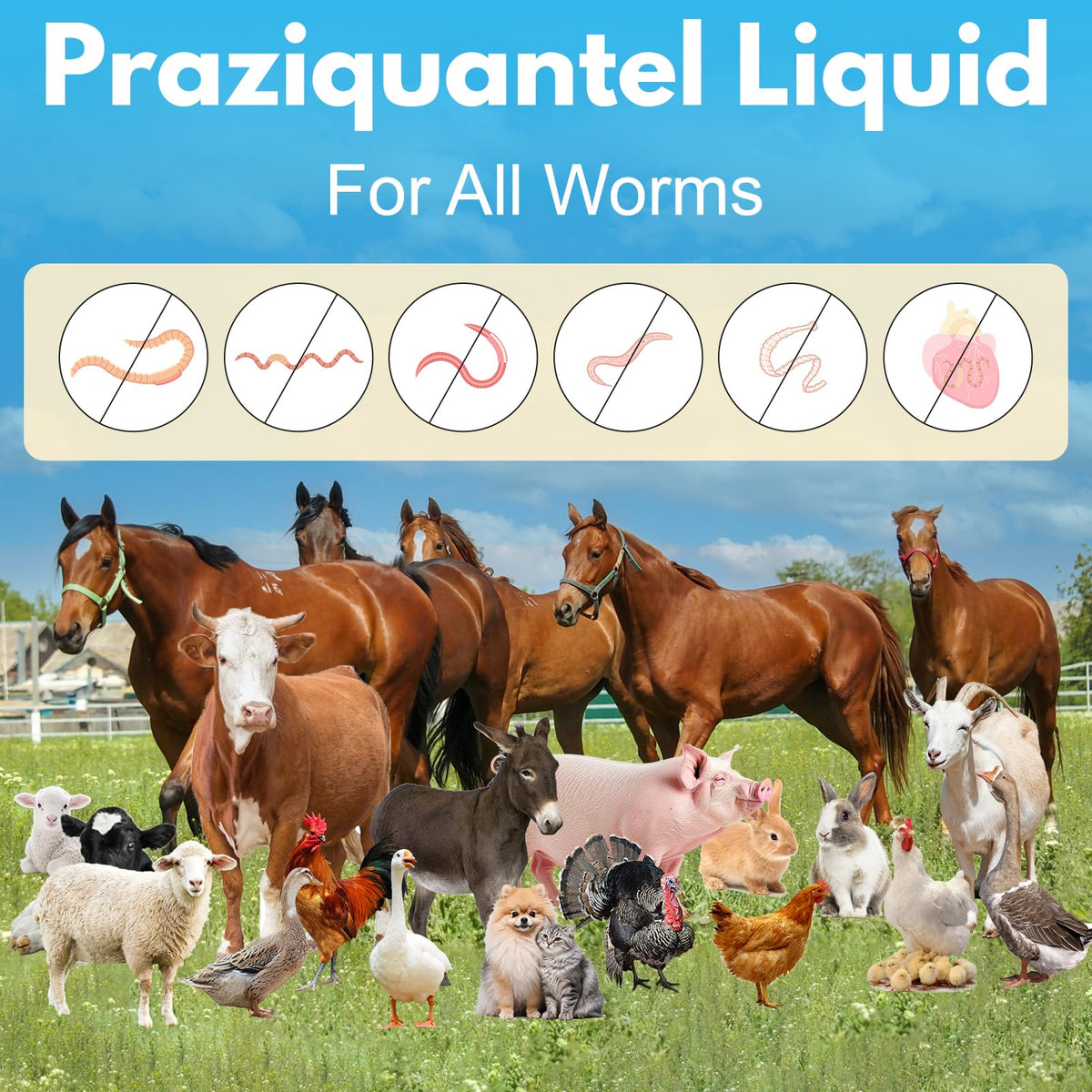 Euphea Praziquantel calibrated dropper for precise, gentle dosing
