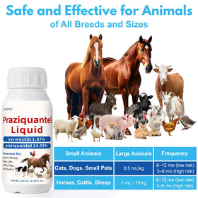 Euphea Praziquantel oral administration can be mixed with food