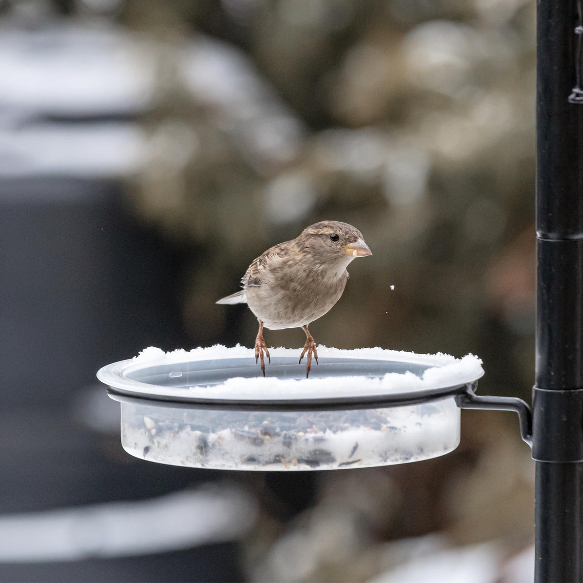 EupHHonycs outdoor feeding station white supports multiple feeding options