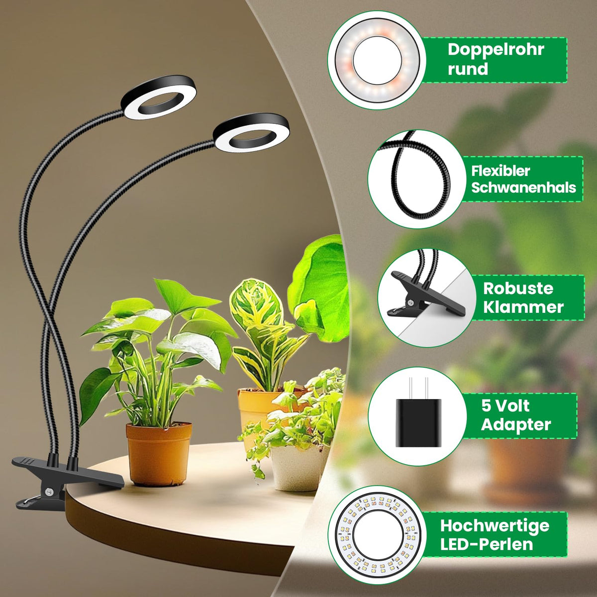 Eurbolan timer with 6/12/16h automates daily lighting