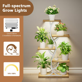 EVAWOO curved design adds stylish flair to any room
