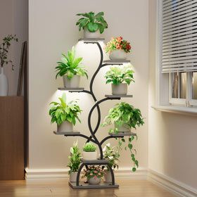 EVAWOO grow light with timer enabling regular indoor plant cycles