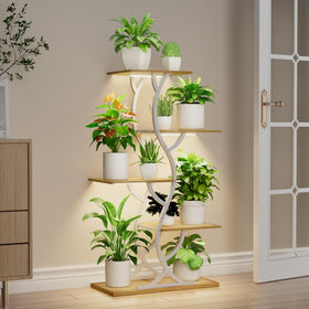 EVAWOO indoor garden setup suitable for living rooms