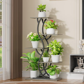 EVAWOO curved frame display emphasizing stylish modern indoor garden aesthetics