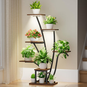 EVAWOO indoor display with grow lights creates vibrant plant showcase