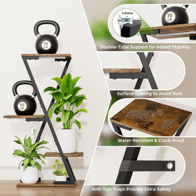 EVAWOO indoor plant display elevates home decor
