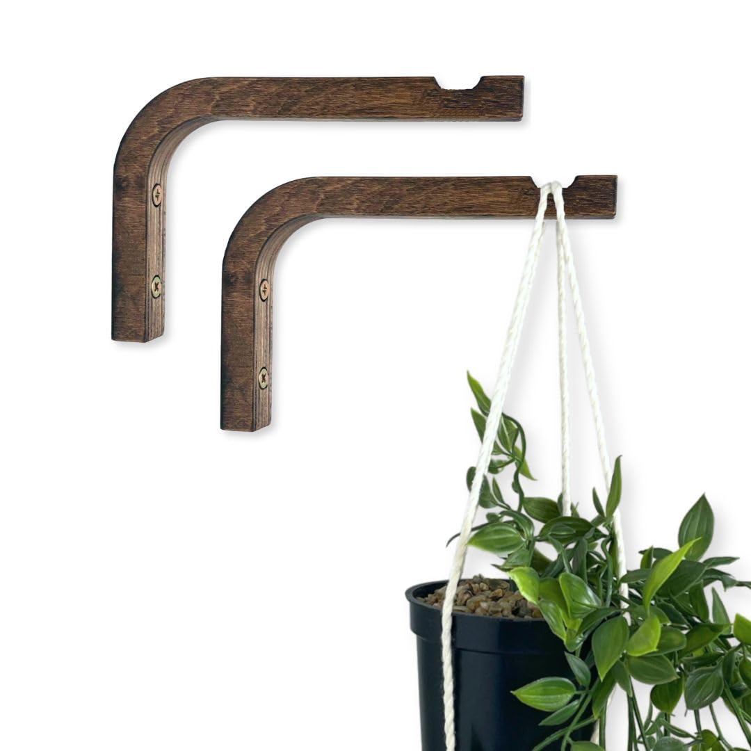 EvenWood walnut 6-inch wall hooks with a 2-piece set for secure indoor plant displays.
