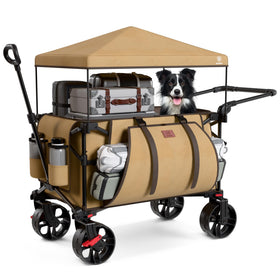 Ever Advanced wagon with canopy for beach trips.