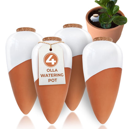 Everbrook Olla pot terracotta self-watering spike delivers deep root hydration.