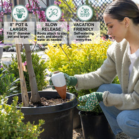 Everbrook self-watering globes terracotta keeping soil moist while you're away.