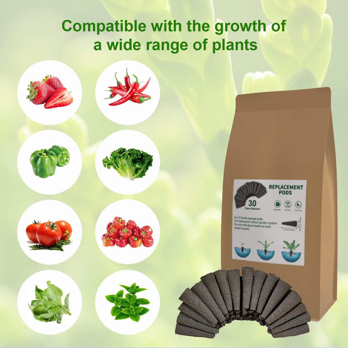 EVERECOO Grow Sponges in premium materials support robust germination and moisture retention.