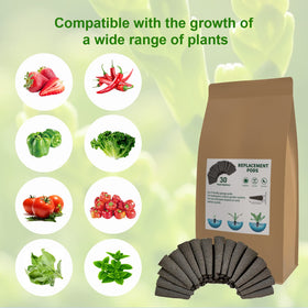 EVERECOO Grow Sponges in premium materials support robust germination and moisture retention.