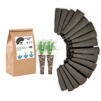 Everecoo grow sponges and starter pods for AeroGarden compatibility enabling quick seed starts