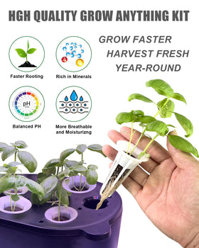 Everecoo grow sponges image highlights easy-to-use sponges for quick seed start.