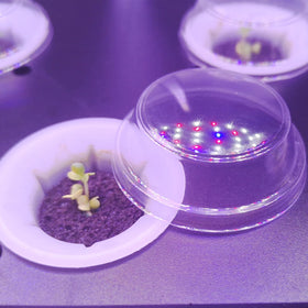 Everecoo AeroGarden-compatible refill pods simplify kit replenishment and maintenance