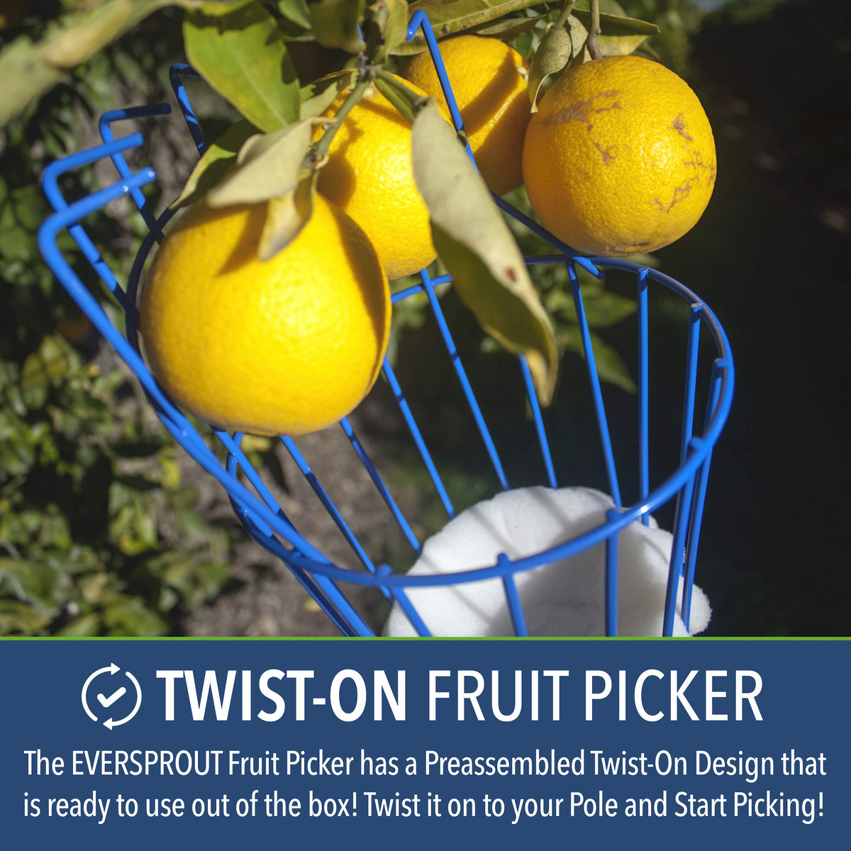 EVERSPROUT extend reach for high hanging fruit on trees