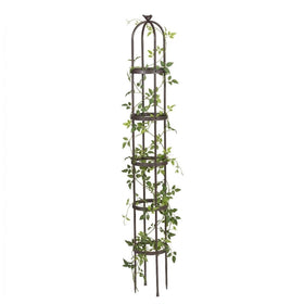 Evergreen Garden 7ft obelisk trellis provides sturdy decorative arch for climbing plants.