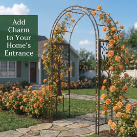 Evergreen garden arch with roses climbing demonstrates versatile outdoor support and beauty.