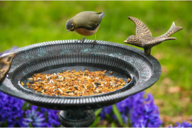 Weatherproof powder-coated metal Evergreen Garden bird bath outdoors