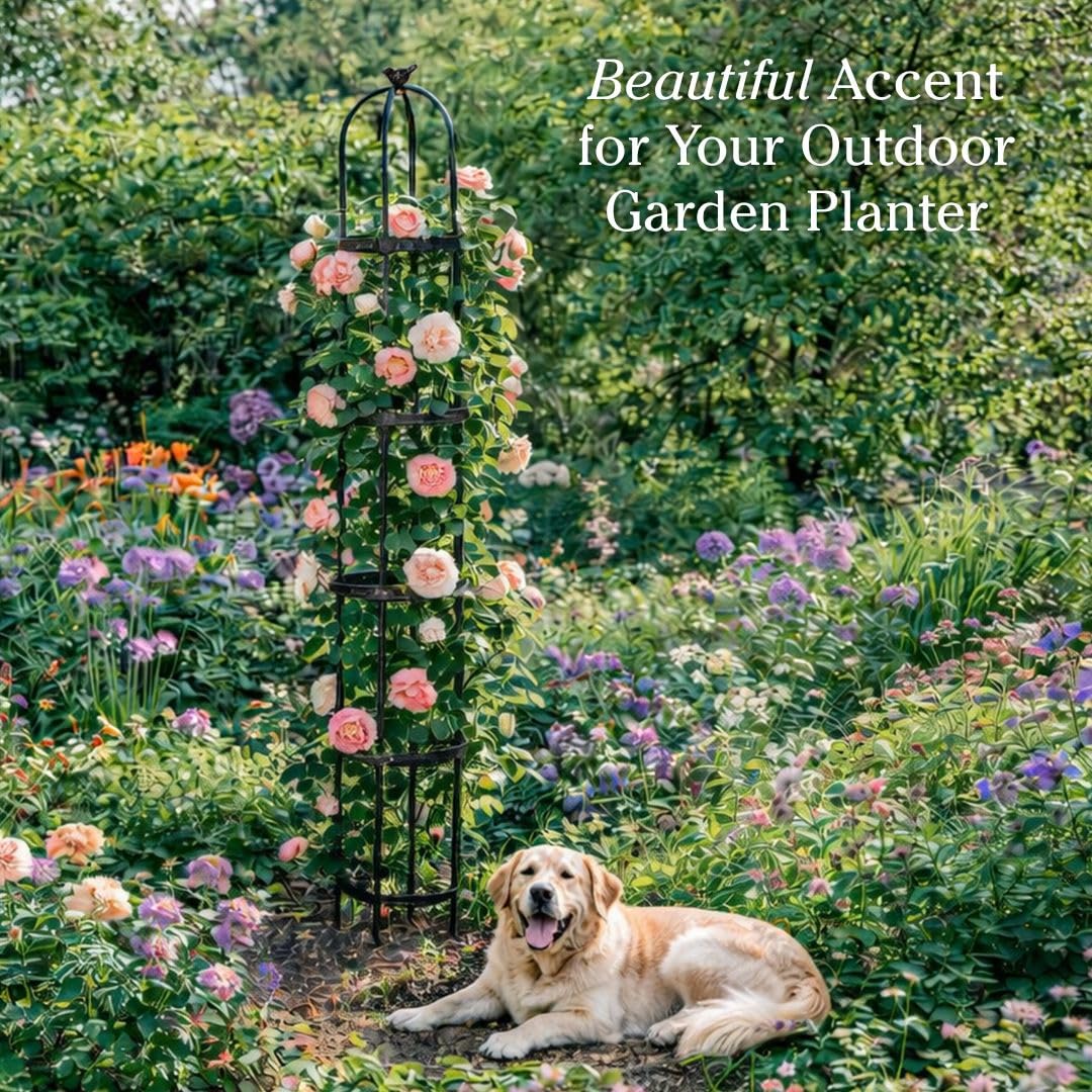 Evergreen Garden arch can pair with outdoor lighting for evening ambiance.