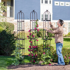 Evening lighting with Evergreen Garden trellis ready for night display