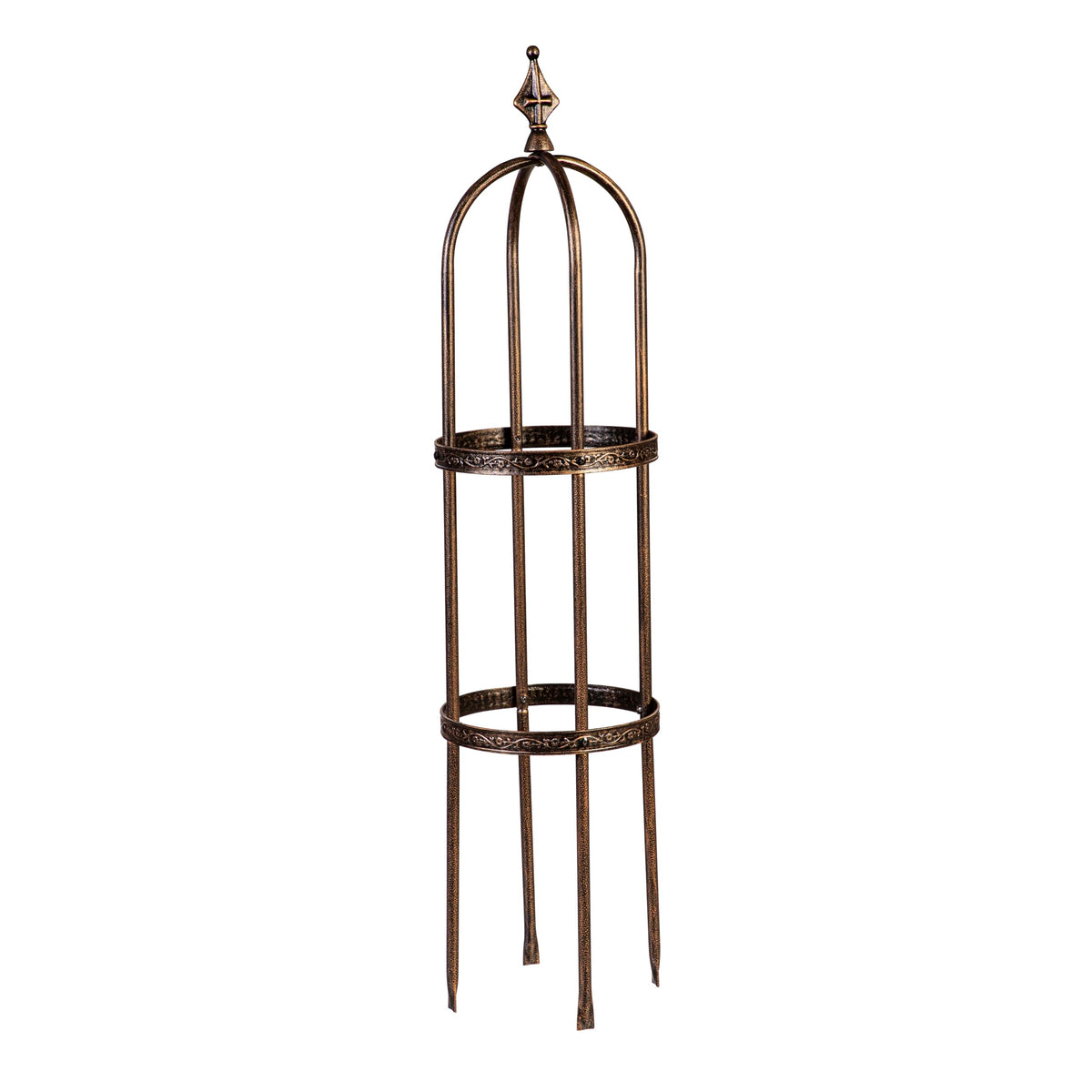 Evergreen Garden supports roses, ivy and jasmine with sturdy vertical growth