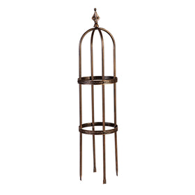 Evergreen Garden supports roses, ivy and jasmine with sturdy vertical growth