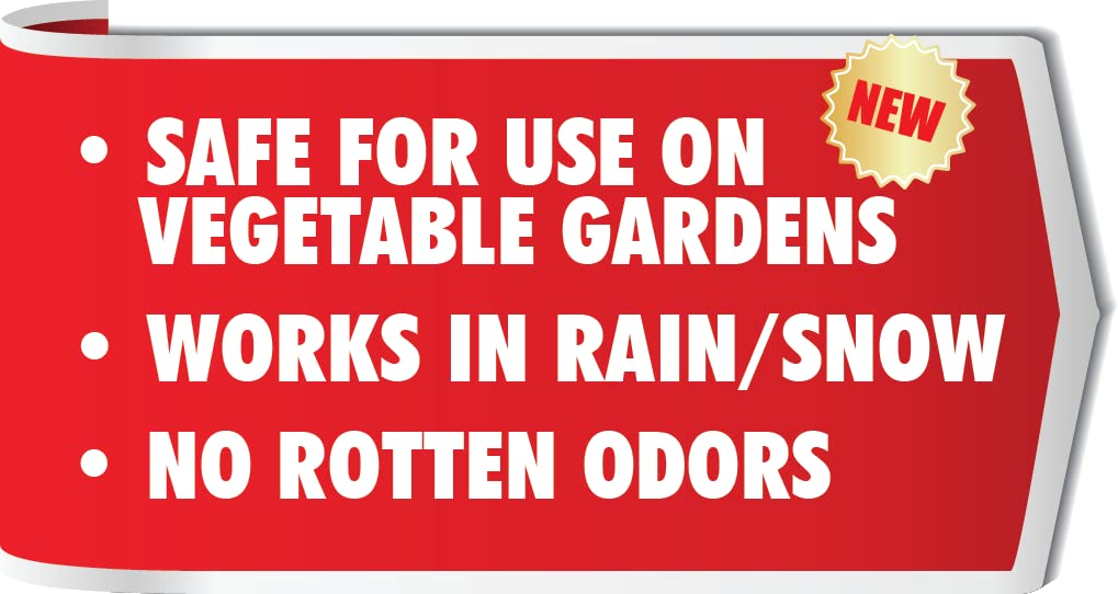 Everguard ADPC032 concentrate being diluted to make up to 2.5 gallons of repellent