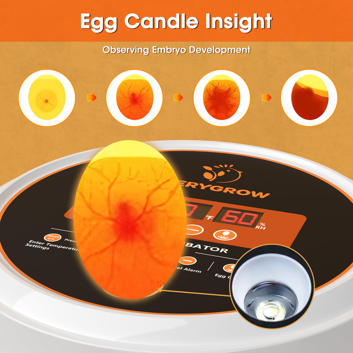 EVERYGROW 360-degree visibility aids observation of developing embryos throughout incubation