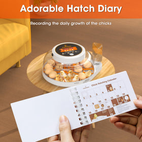 EVERYGROW versatile incubator for chicken, duck, and quail eggs suits beginners and veterans