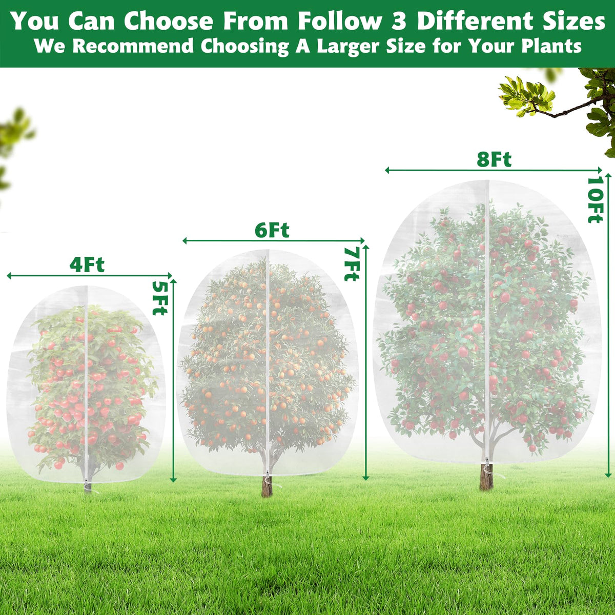 Evoio netting over a blueberry bush protects fruit